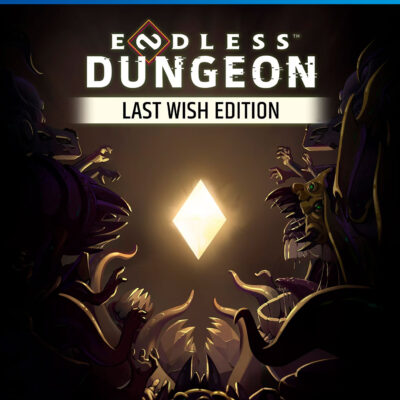 ENDLESS DUNGEON LAST WISH EDITION PS4