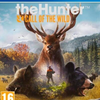 THEHUNTER CALL OF THE WILD PS4