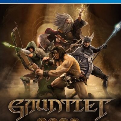 GAUNTLET SLAYER EDITION PS4